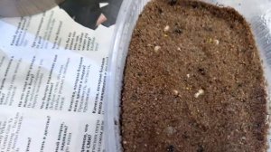 Торения из семян.