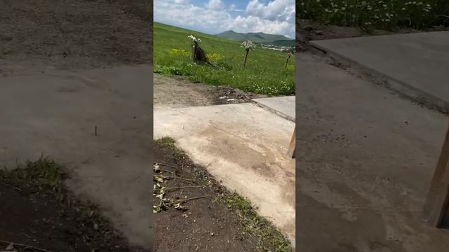 Lerniki Karen - Misht Khishenq Ax Karen Jan 😢🥺