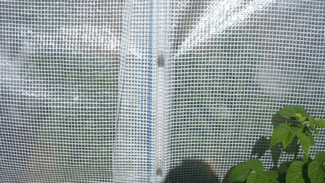 Пленочный тоннель ТОМАТО отзывы смотреть онлайн