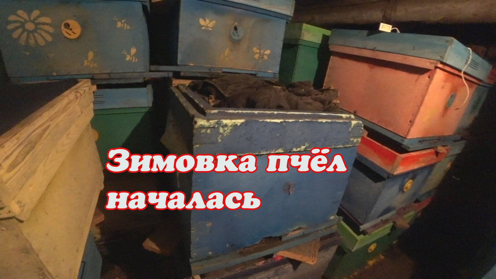 ЗИМОВКА ПЧЁЛ НАЧАЛАСЬ, ЗИМОВНИКИ, ТЕЛЕЖКА, БРОДЯЧИЙ ПЁС. смотреть онлайн
