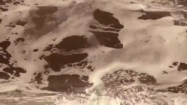 Белухи Мягострова - Beluga whales of White Sea смотреть онлайн