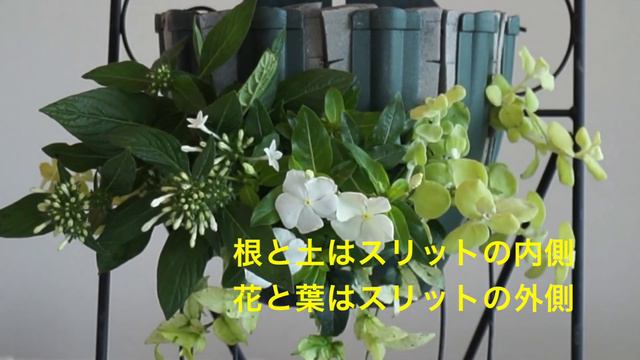 『ハンギングバスケット』お洒落にガーデニング！お庭がなくても飾れる寄せ植えです♡ смотреть онлайн