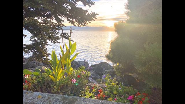 Женевское озеро, рассвет! смотреть онлайн