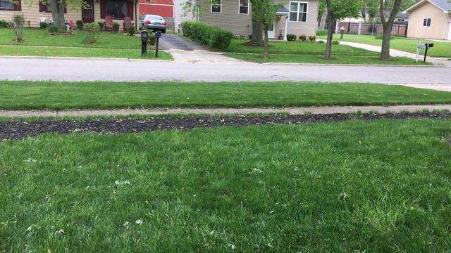 2019 Native + Annual Garden Paradise in progress. смотреть онлайн