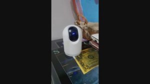 Review [Global] Xiaomi Mijia MI C200/C300/2K Pro IP Surveillance Camera 1080P/1296P Resolution Home