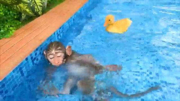 Обезьянка Бон Бон Кики #2