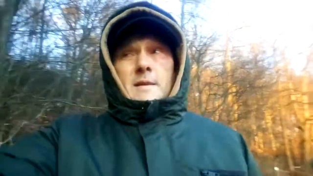 А что это у них в парке? смотреть онлайн