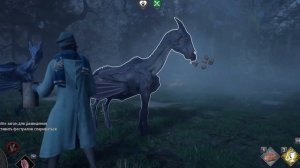 Hogwarts legacy [19 часть] ЗАСТАВЛЯЕМ РАЗМНОЖАТЬСЯ ФЕСТРАЛОВ