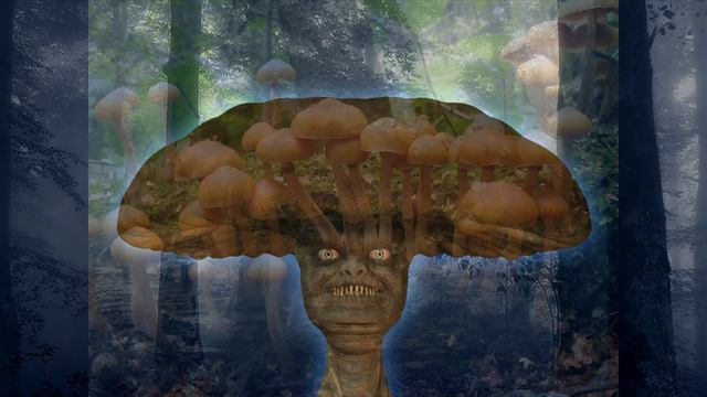 Грибы во сне - К чему снятся грибы? смотреть онлайн