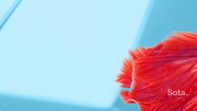 Реклама ребрендинга  Rebranding advertisement