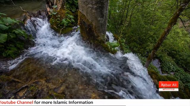 Animal Rights In Islam | Janwaron ke Huqooq | Islamic Bayan | Akbar Ali Network смотреть онлайн