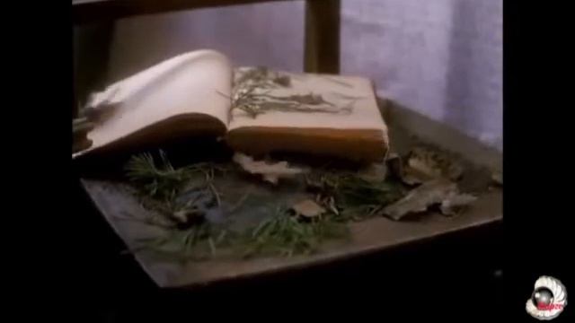 Брошенный дом смотреть онлайн