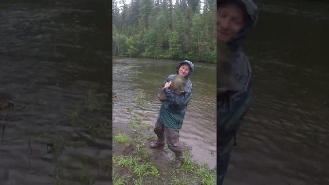 Самая няшная рыба? #рыбалка #таймень #горнаярыбалка #тыва #taimen смотреть онлайн