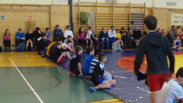 7 декабря турнир по вольной борьбе г.Домодедово смотреть онлайн