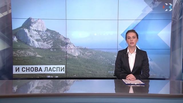 Заказник «Ласпи» стал особо охраняемой природной территорией смотреть онлайн