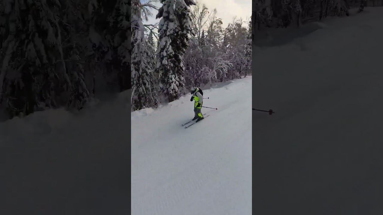 Обзор красивой лесной трассы Асыр Правая в Шерегеш Сектор Е. смотреть онлайн