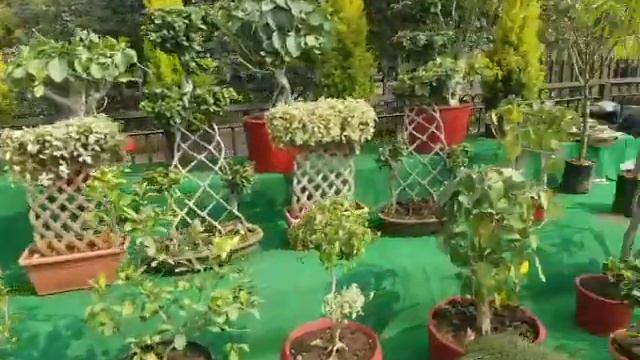 Flower Festival: Chambal Biodiversity Festival at Kishor Sagar Road Kota. смотреть онлайн