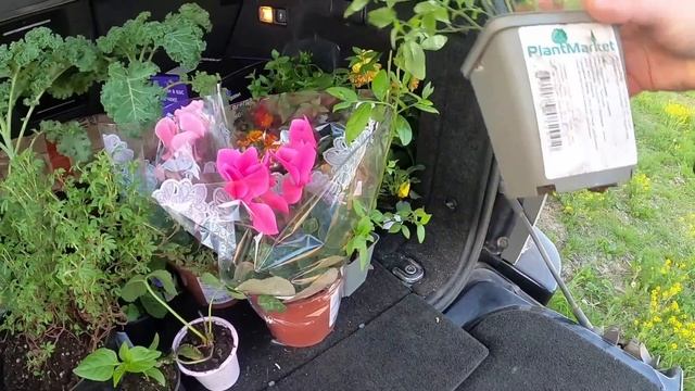 ПОЙМАЛИ ОГРОМНУЮ РЫБУ ??? смотреть онлайн