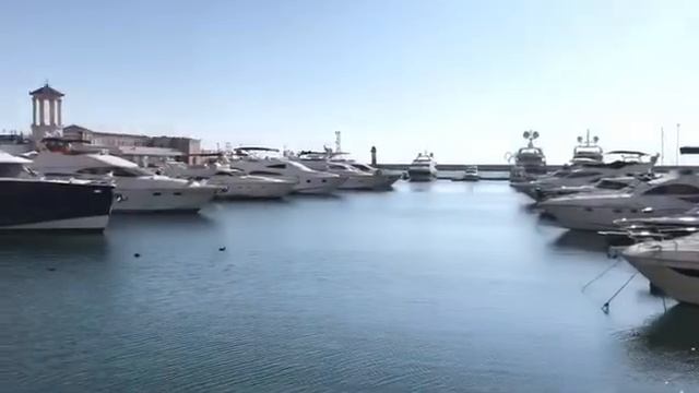 Как перебраться жить на зимовку в Сочи смотреть онлайн