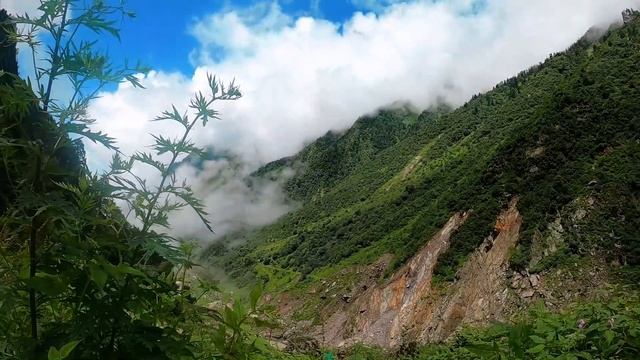 Kedarnath Yatra, Sonprayag to Kedarnath Temple, 16km Trekking || Kedarnath Yatra Ep03 смотреть онлайн