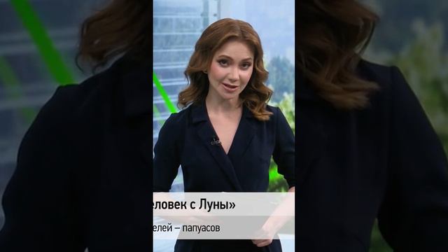 🗓 КАЛЕНДАРЬ | Николай Миклухо-Маклай #history #история #путешествие смотреть онлайн