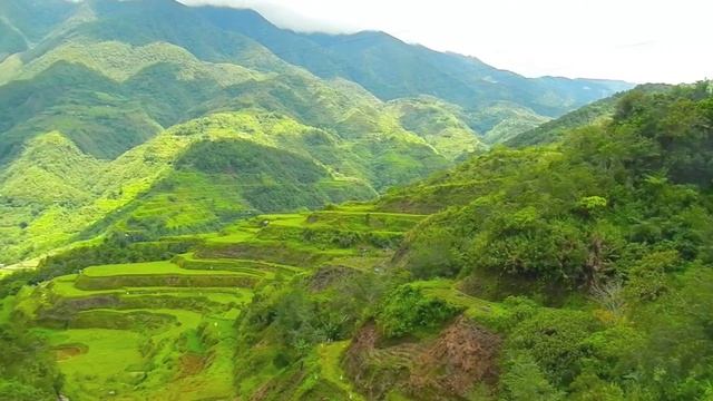 Banaue Rice Terraces Tour - WOW Philippines Travel Agency смотреть онлайн