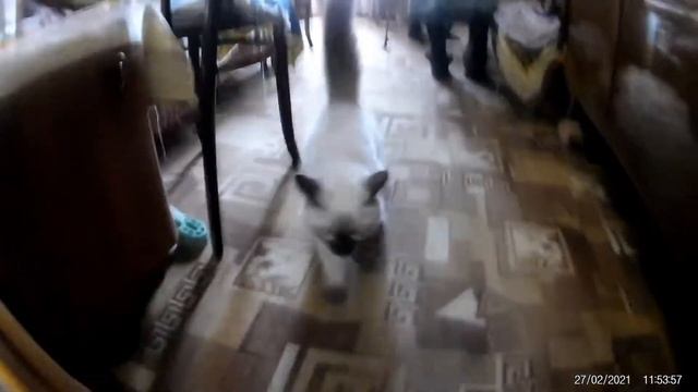 Простой день ? смотреть онлайн