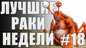 ЛРН выпуск №18. Любовь с первого взгляда [Лучшие Раки Недели]