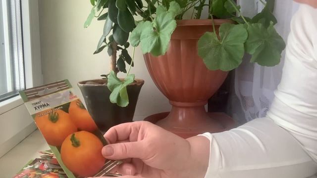 Выбираю сорта томатов для посева. ???Посадка томатов на рассаду.??? смотреть онлайн