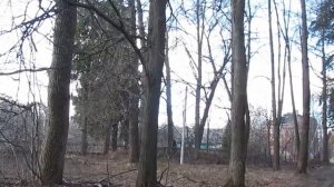 село Чернопенье. Апрель 2020.