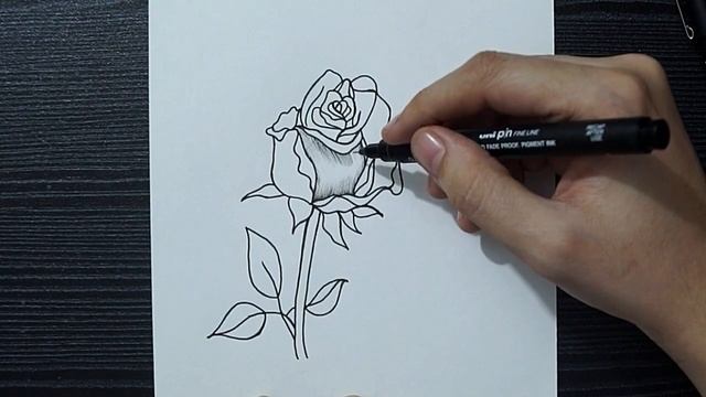 How To Draw Rose Flower || Easy Flower Drawing With Pen || Simple Flower Drawing For Kids || Doodle смотреть онлайн