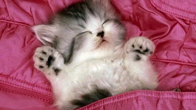 Музыка русская . Сказочная новинка.! Как же она поет!!! смотреть онлайн