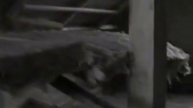 Утепление крыши ватой. "И один в поле воин" смотреть онлайн