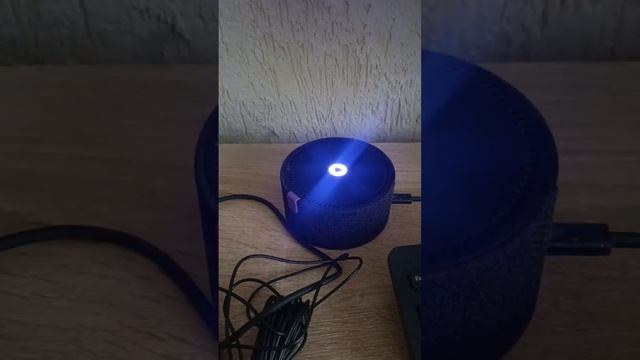 Алиса, включи музыку без слов #alisa #алисаприколы #алиса #умнаяколонка смотреть онлайн