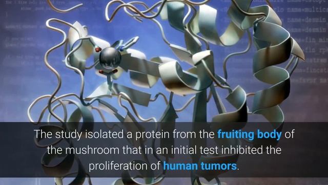 5 Health Benefits of Golden Oyster Mushrooms смотреть онлайн