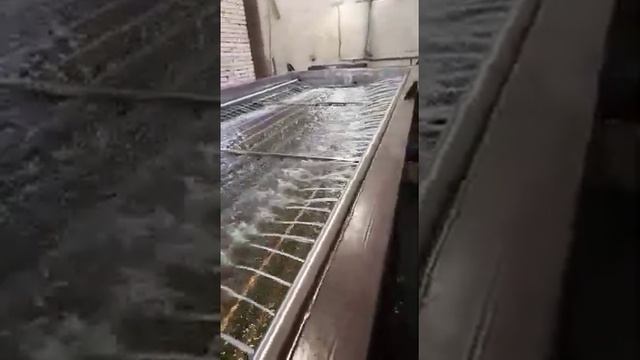Генератор ледяной воды ГЛВ – 25000 (уличное исполнение) смотреть онлайн