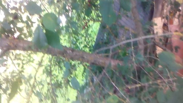 Строительная Мозаика