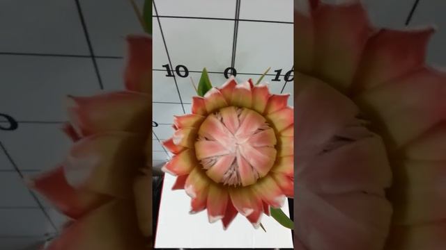 킹프로테아 смотреть онлайн