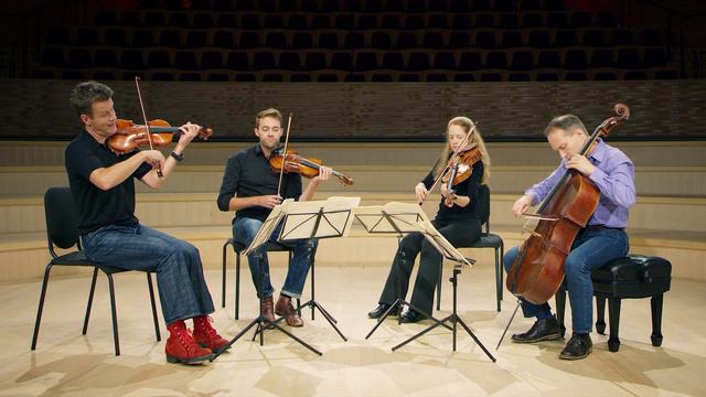 HAYDN String Quartet in G minor, Op 20 no 3: 2. Minuetto Allegretto, by St Lawrence String Quartet смотреть онлайн