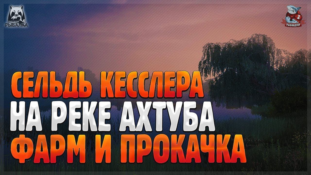 РУССКАЯ РЫБАЛКА 4 ● Сельдь Кесслера на реке Ахтуба ● Фарм и прокачка смотреть онлайн