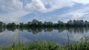 Это ли не рай на земле? Рыбалка в Подмосковье.