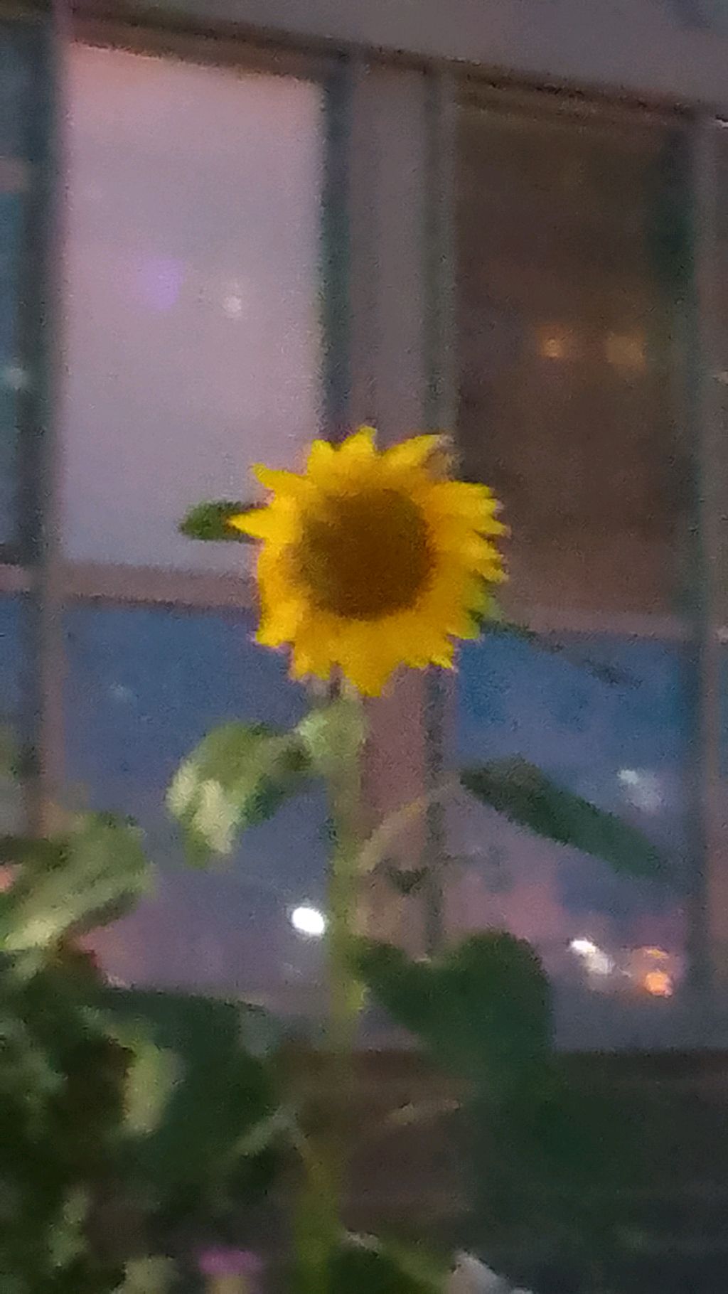 ПОСМОТРИ(пожалуйста)