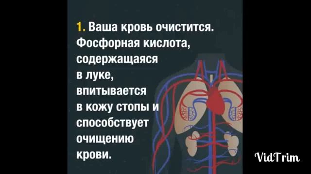 Вот почему стоит положить в носок ломтик лука,прежде чем идти спать смотреть онлайн