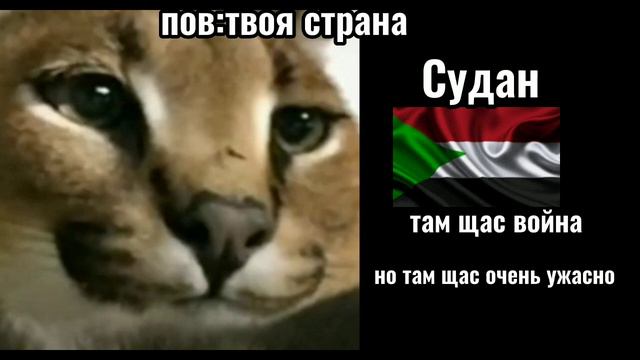 пов: твоя страна смотреть онлайн