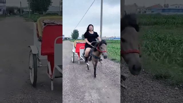 It is fun to ride the horse смотреть онлайн