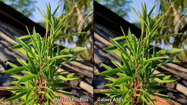 Redmi Note 11 Pro Plus VS Samsung Galaxy A52s Camera Comparison | Note 11 Pro Plus Camera Review смотреть онлайн