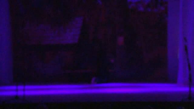 Спектакль "Игумен земли русской" посвящённый Преподобному Сергию Радонежскому 5 апреля 2015 года. смотреть онлайн