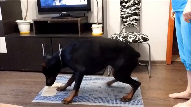 Учим комплекс со спины смотреть онлайн