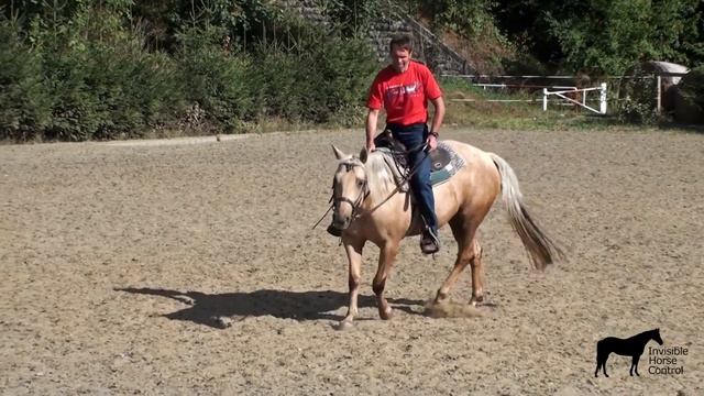 How to get your horse to react on low pressure смотреть онлайн