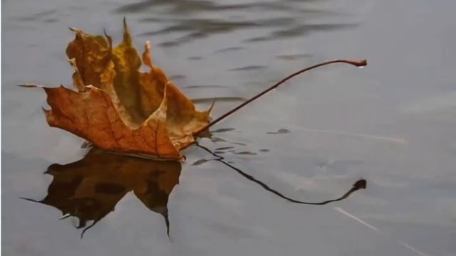 "КЛЕНОВЫЕ КОРАБЛИКИ" смотреть онлайн